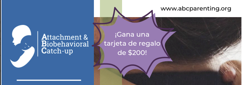 Spanish ABC Flyer DE