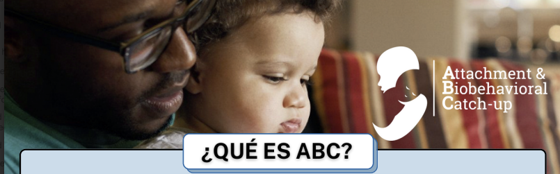 ABC Effects Infographic (English)