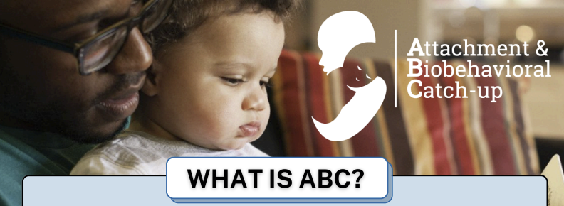 ABC Effects Infographic (Spanish)